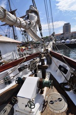 Enlarge photo 74