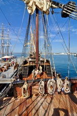 Enlarge photo 78