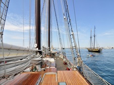 Enlarge photo 115
