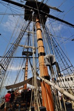 Enlarge photo 124