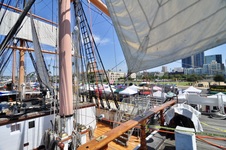Enlarge photo 175