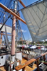 Enlarge photo 176