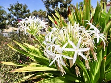 Enlarge photo 215