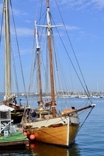 Enlarge photo 27