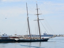 Enlarge photo 41