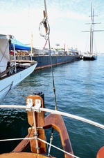 Enlarge photo 81
