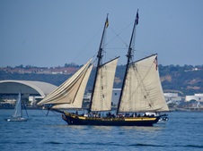 Enlarge photo 119