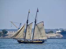Enlarge photo 131