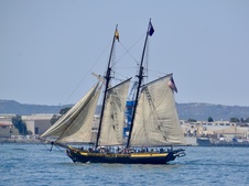 Enlarge photo 132