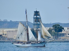 Enlarge photo 136