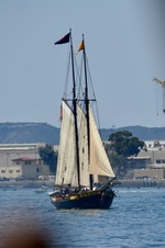Enlarge photo 143