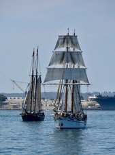 Enlarge photo 152