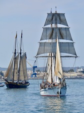 Enlarge photo 153