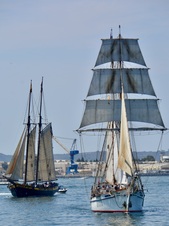 Enlarge photo 154