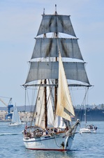 Enlarge photo 156