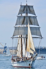 Enlarge photo 157