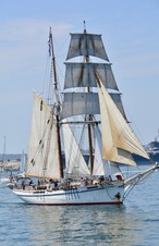 Enlarge photo 159