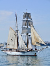 Enlarge photo 160