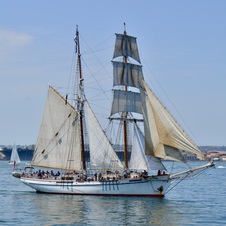 Enlarge photo 161