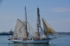 Enlarge photo 163
