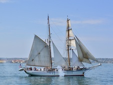 Enlarge photo 167