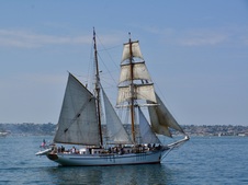 Enlarge photo 169