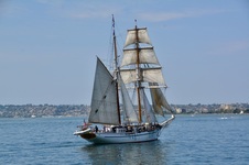 Enlarge photo 172