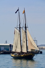 Enlarge photo 177