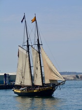 Enlarge photo 178