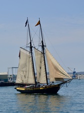 Enlarge photo 179
