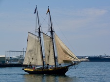 Enlarge photo 180
