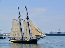 Enlarge photo 181