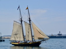 Enlarge photo 182