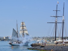 Enlarge photo 183