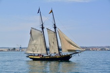 Enlarge photo 184