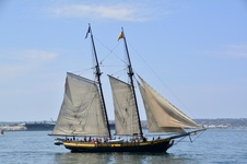 Enlarge photo 186