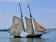 Enlarge photo 188