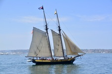 Enlarge photo 189