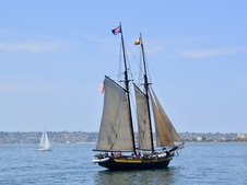 Enlarge photo 190