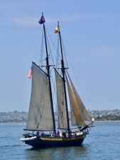 Enlarge photo 192