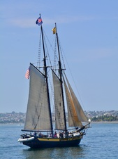 Enlarge photo 193