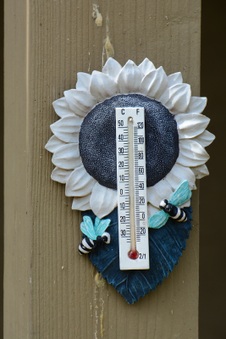 Enlarge photo 10