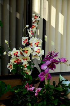 Enlarge photo 13