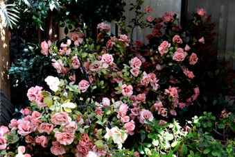 Enlarge photo 18