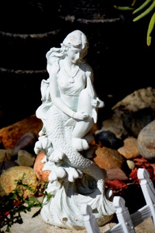 Enlarge photo 21