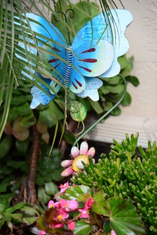 Enlarge photo 24