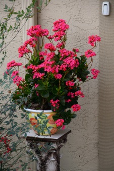 Enlarge photo 29