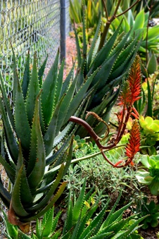 Enlarge photo 35