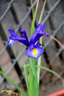 Enlarge photo 38