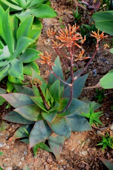 Enlarge photo 42